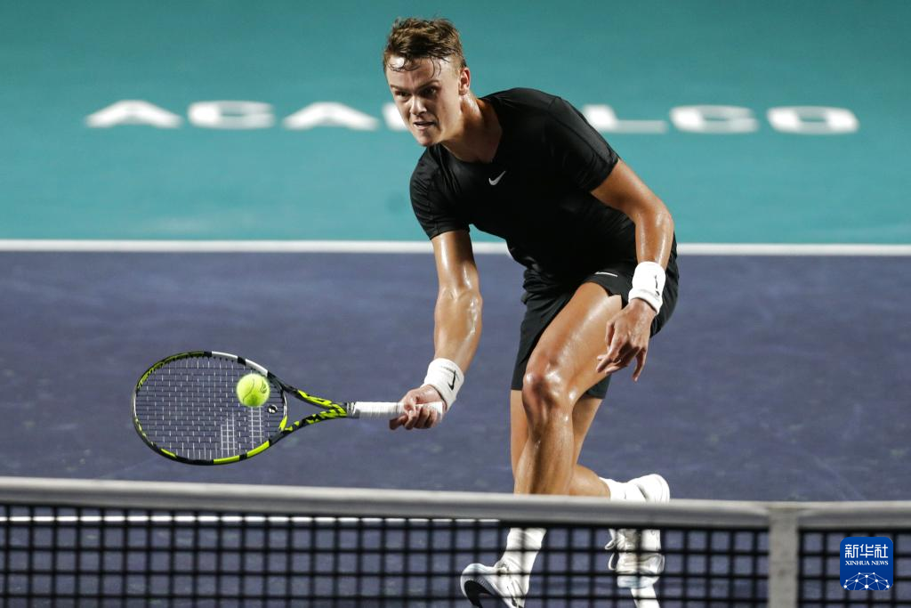 不仅保持了 不仅保持了