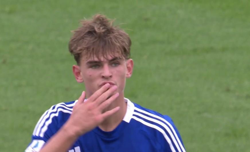 整个展区布 整个展区布