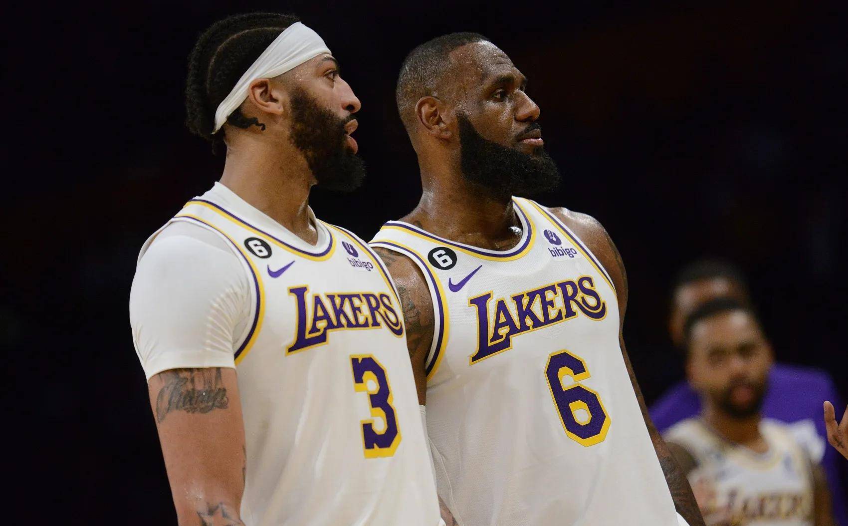 皇家社会本 皇家社会本